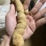 深生野生巴戟天煲汤泡酒