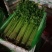精品芹菜大量上市现货