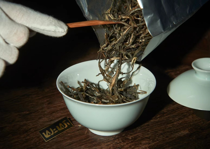 古树纯料普洱生茶70g罐装300年以上古树茶