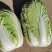 大白菜