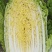大白菜