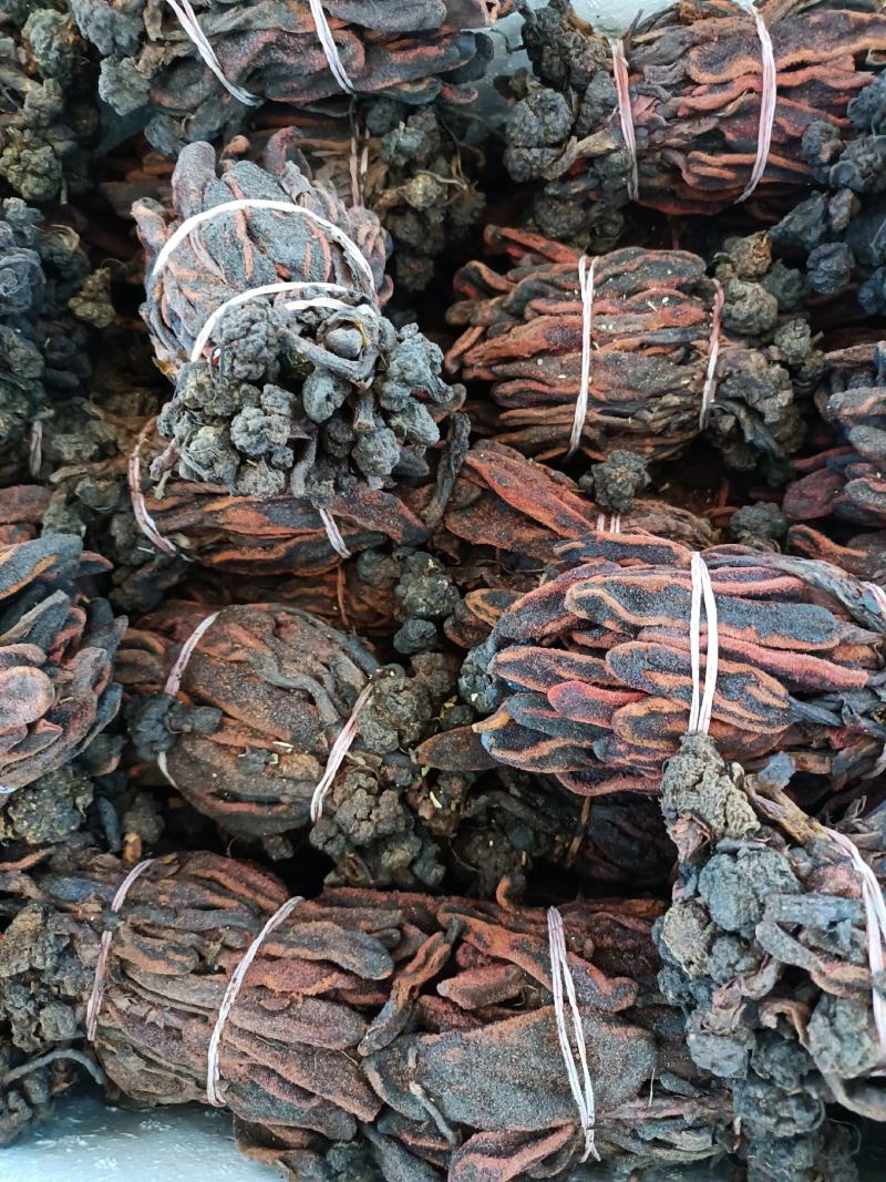 回春草，回春草草苁蓉各种药材原料农产品打粉