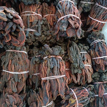 回春草，回春草草苁蓉各种药材原料农产品打粉