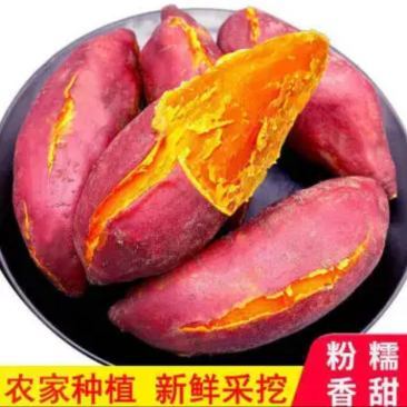 河南，蜜薯，烟薯，电商微商供货，不甜包退