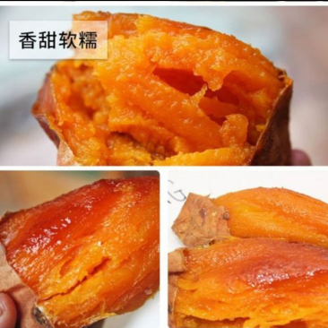 【现挖现发】新鲜纯沙地蜜薯，支持一件代发