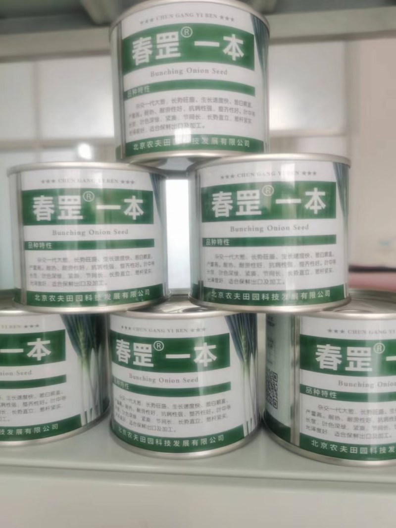 山东青岛胶东铁杆纲葱