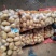 山东青岛荷兰十五土豆现挖现发保质保量实力代办