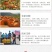 【小包装】新鲜广西恭城霜降圆柿子饼与富平糖心吊饼柿多件装