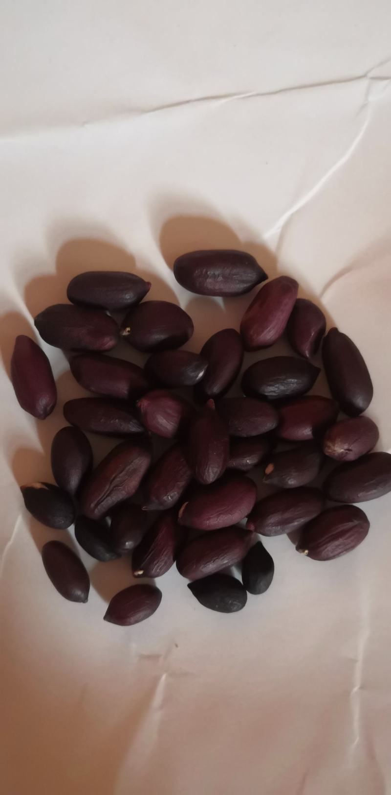 黑花生米，富含花青素等元素，口感特香，脆柔，’营养丰富，