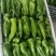 大量供应各种鲜辣椒一手货源诚信经营品质保证可视频看货