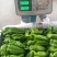 大量供应各种鲜辣椒一手货源诚信经营品质保证可视频看货