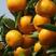 知名柑橘品牌！市场反馈好，知名度高！欢迎合作！