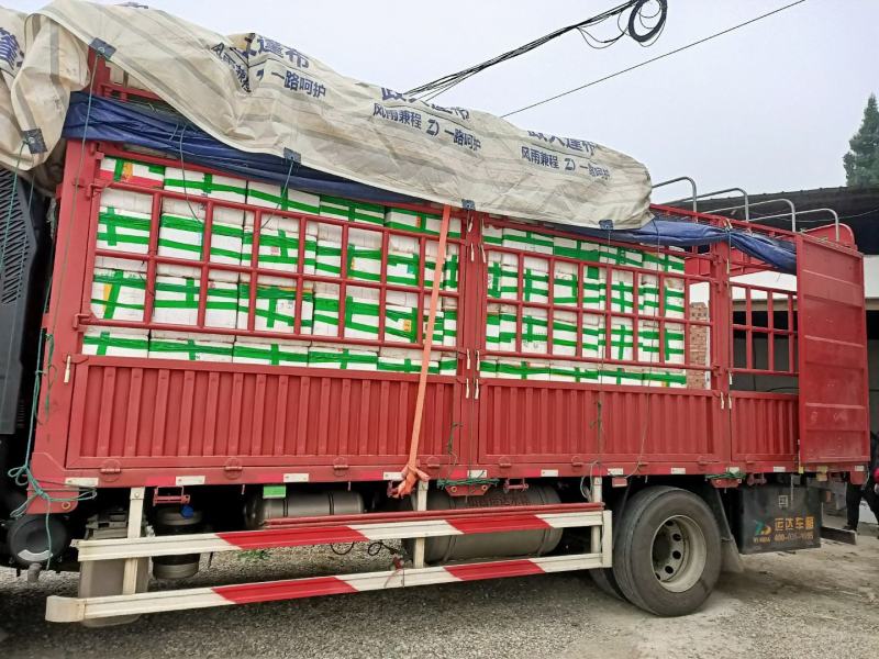 精品豌豆尖大量上市中需要的老板赶紧联系货源稳定