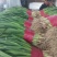 优质大捆青蒜苗。质量好，无土无黄尖，货源充足。