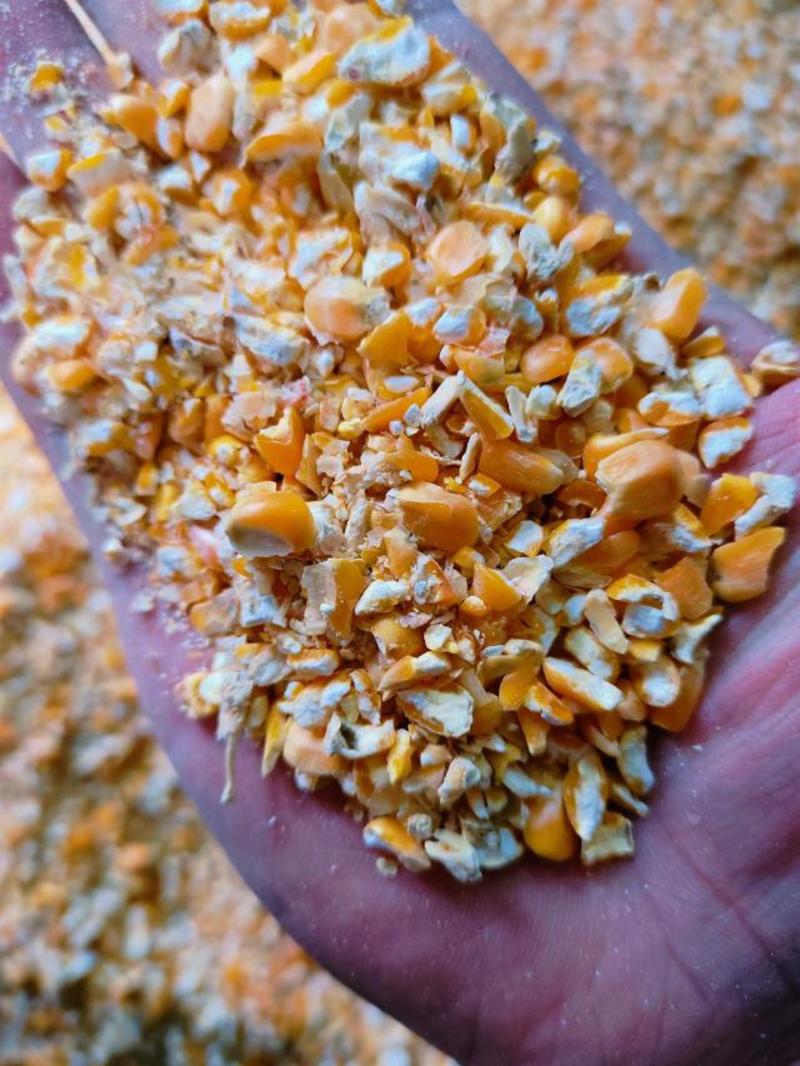 碎玉米，鸡鸭鹅牛羊猪养殖。饲料添加。量大优惠
