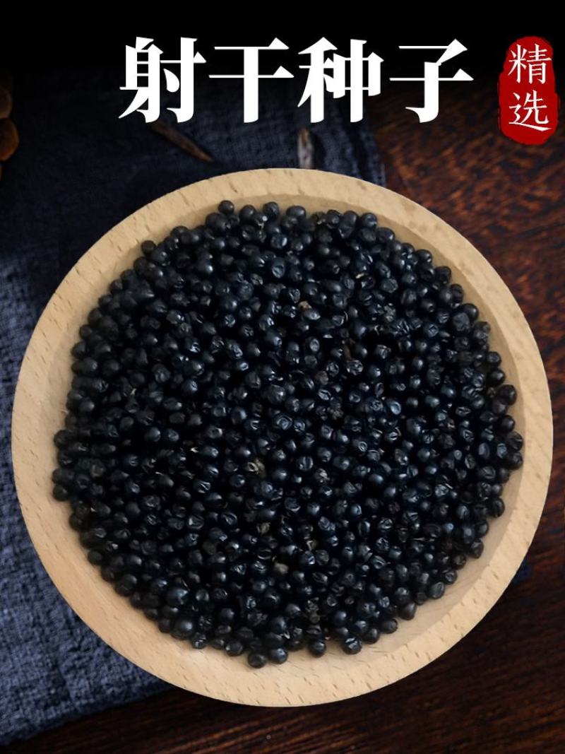 射干种子鸢尾种子盆栽地栽四季易种耐寒耐旱庭院绿化工程绿化