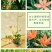 射干种子鸢尾种子盆栽地栽四季易种耐寒耐旱庭院绿化工程绿化