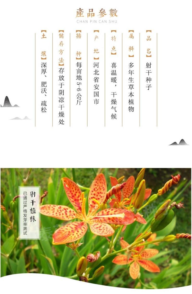 射干种子鸢尾种子盆栽地栽四季易种耐寒耐旱庭院绿化工程绿化