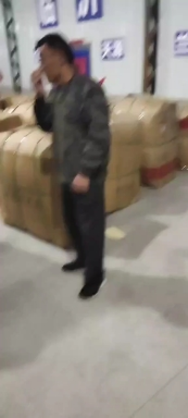 江苏大白菊，神马，精诚，白善，黄菊，光玉，金善，！