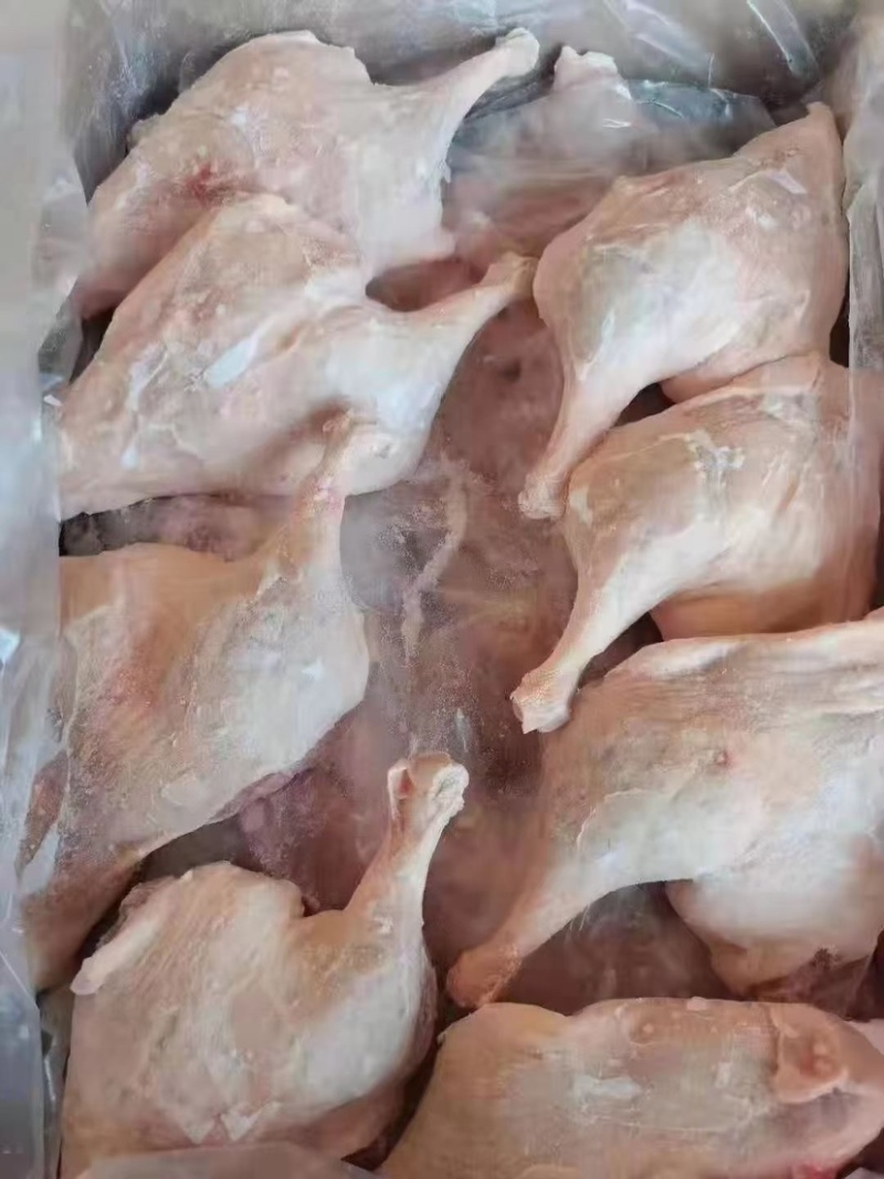 鸡鸭副产品鸡肠鸡肝琵琶腿鸭珍鸡胗大胸翅根翅中翅尖鸡心