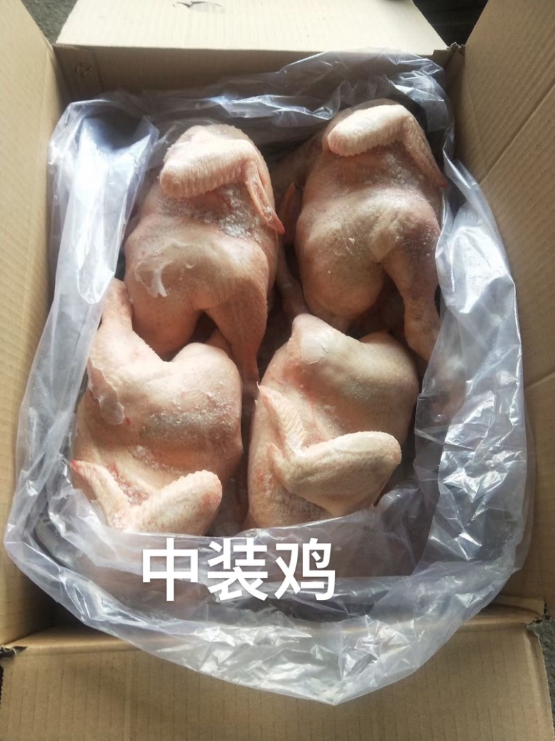 鸡鸭副产品鸡肠鸡肝琵琶腿鸭珍鸡胗大胸翅根翅中翅尖鸡心