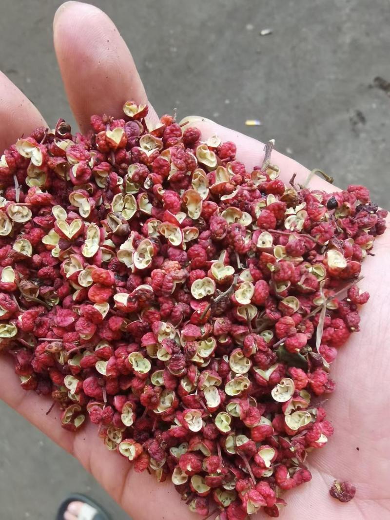 大红袍花椒特级货自家种植，一手货源，麻香味十足