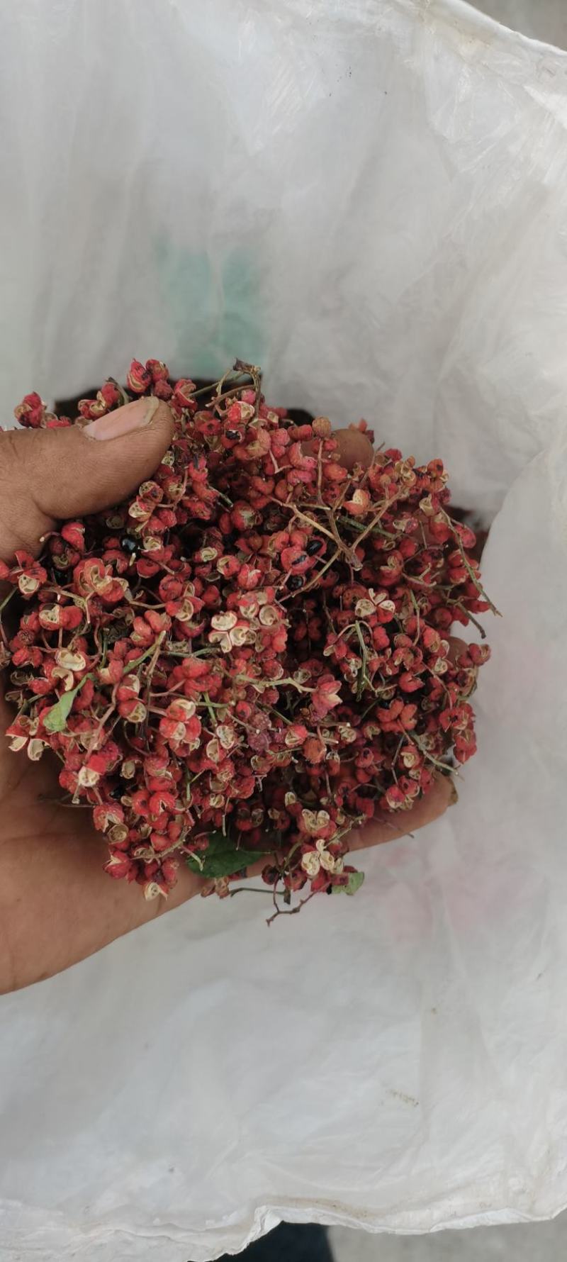 大红袍花椒特级货自家种植，一手货源，麻香味十足