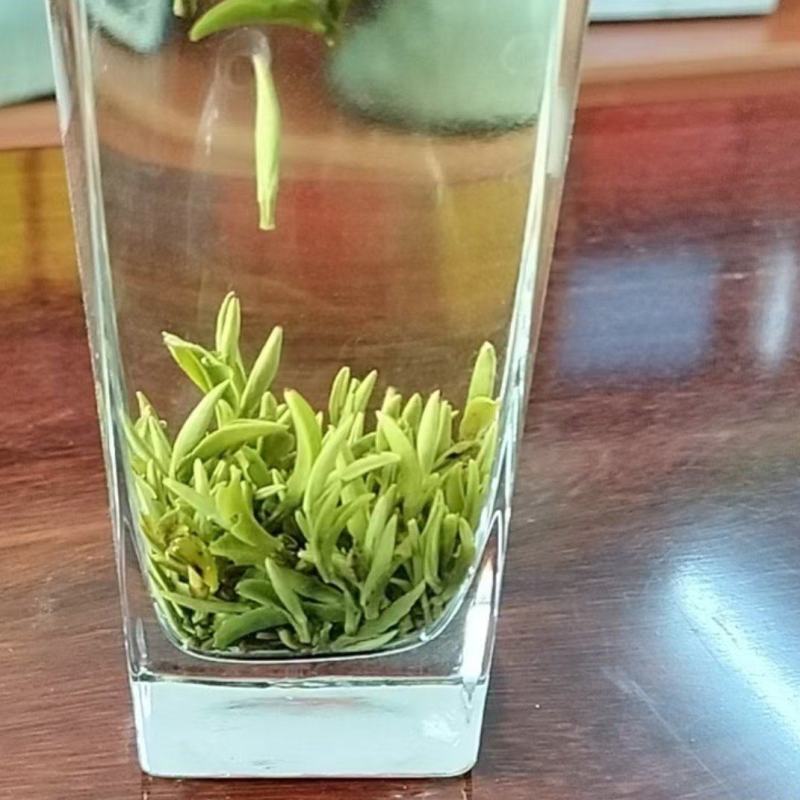 岳西翠兰