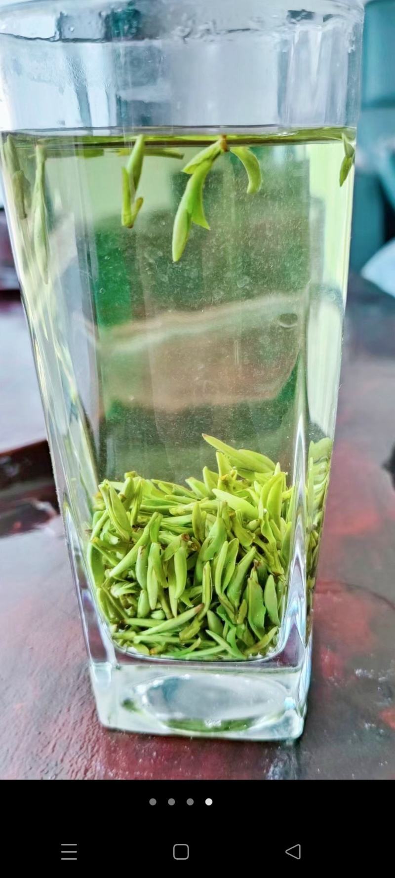 岳西翠兰