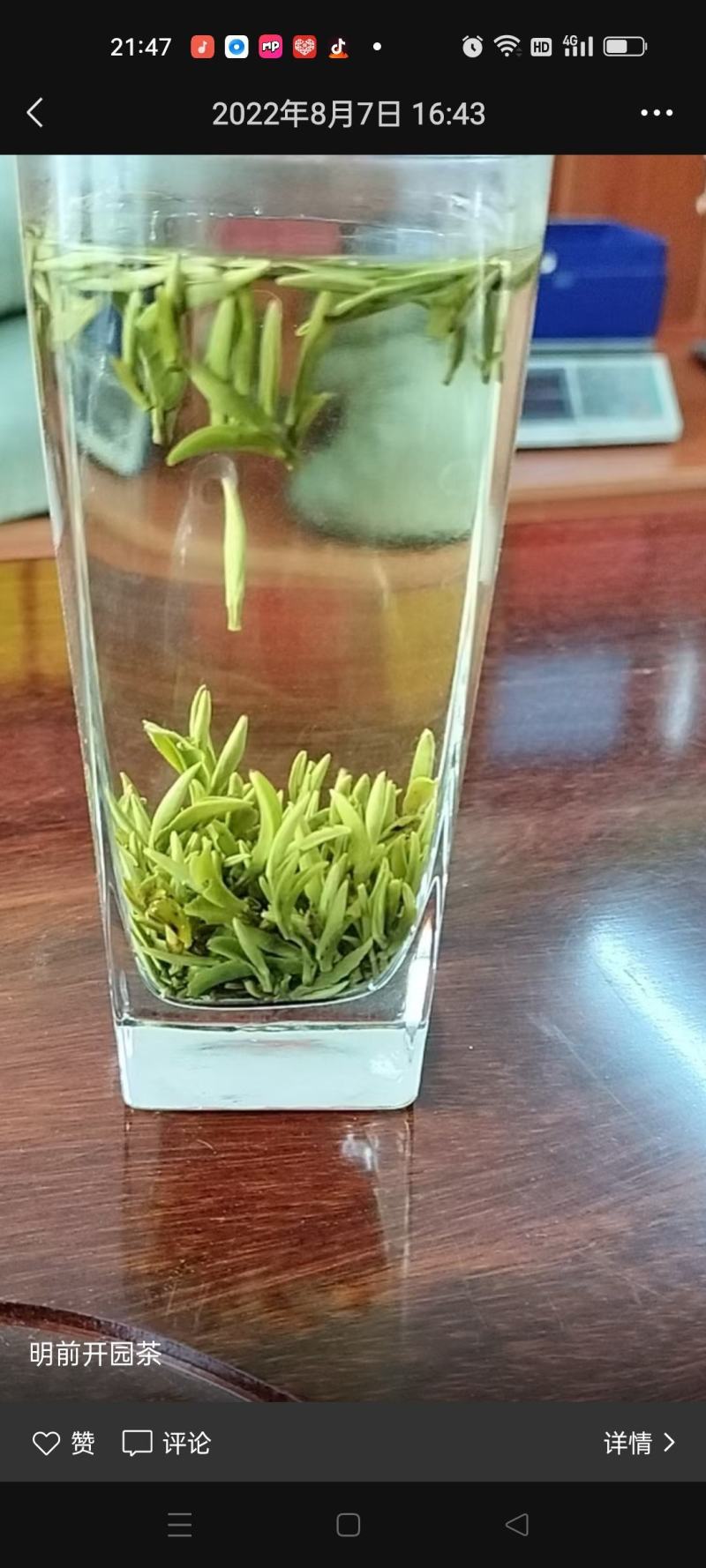 岳西翠兰