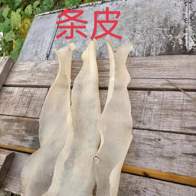 脊皮条皮，产地货源，对接大型批发商，质量好
