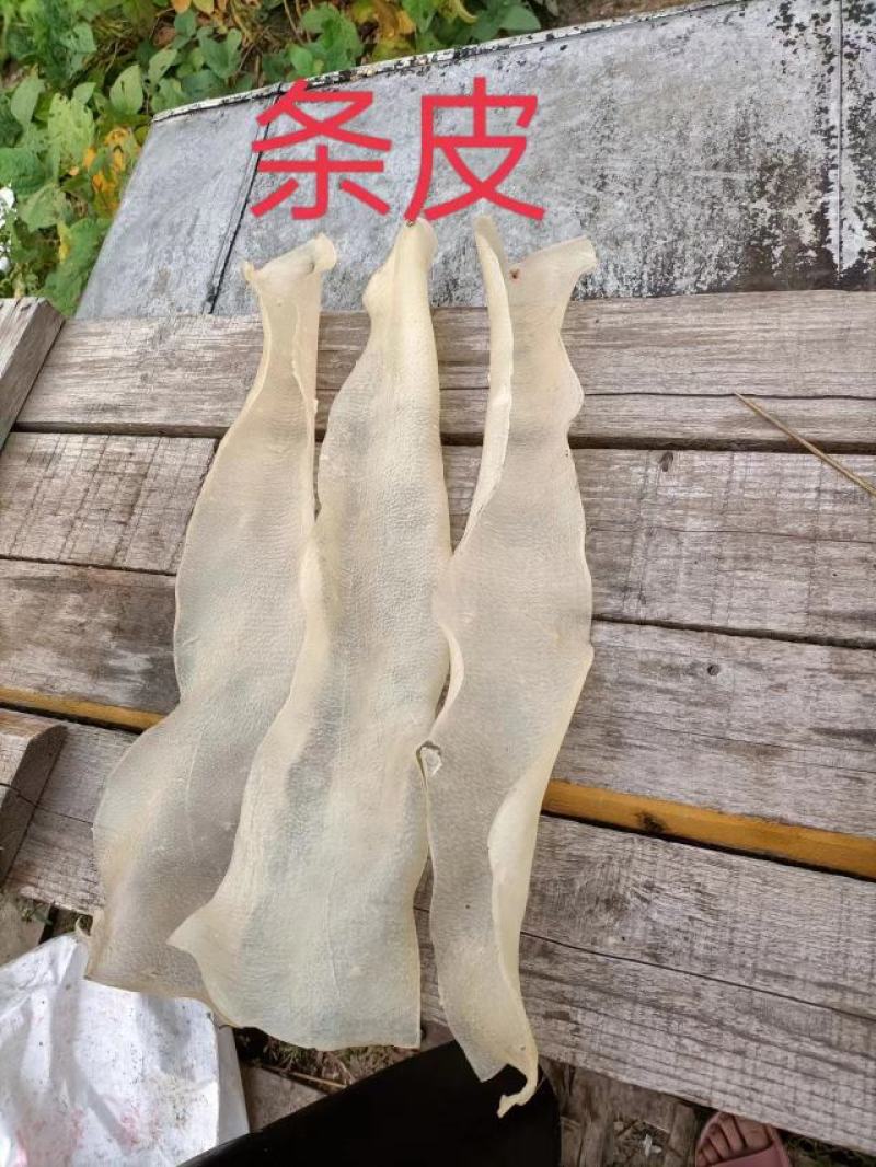 脊皮条皮，产地货源，对接大型批发商，质量好