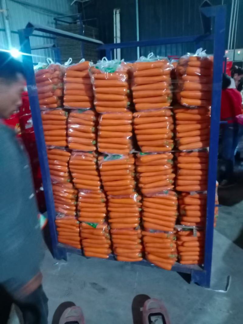 三红胡萝卜精品胡萝卜产地大量供应（3～7两）