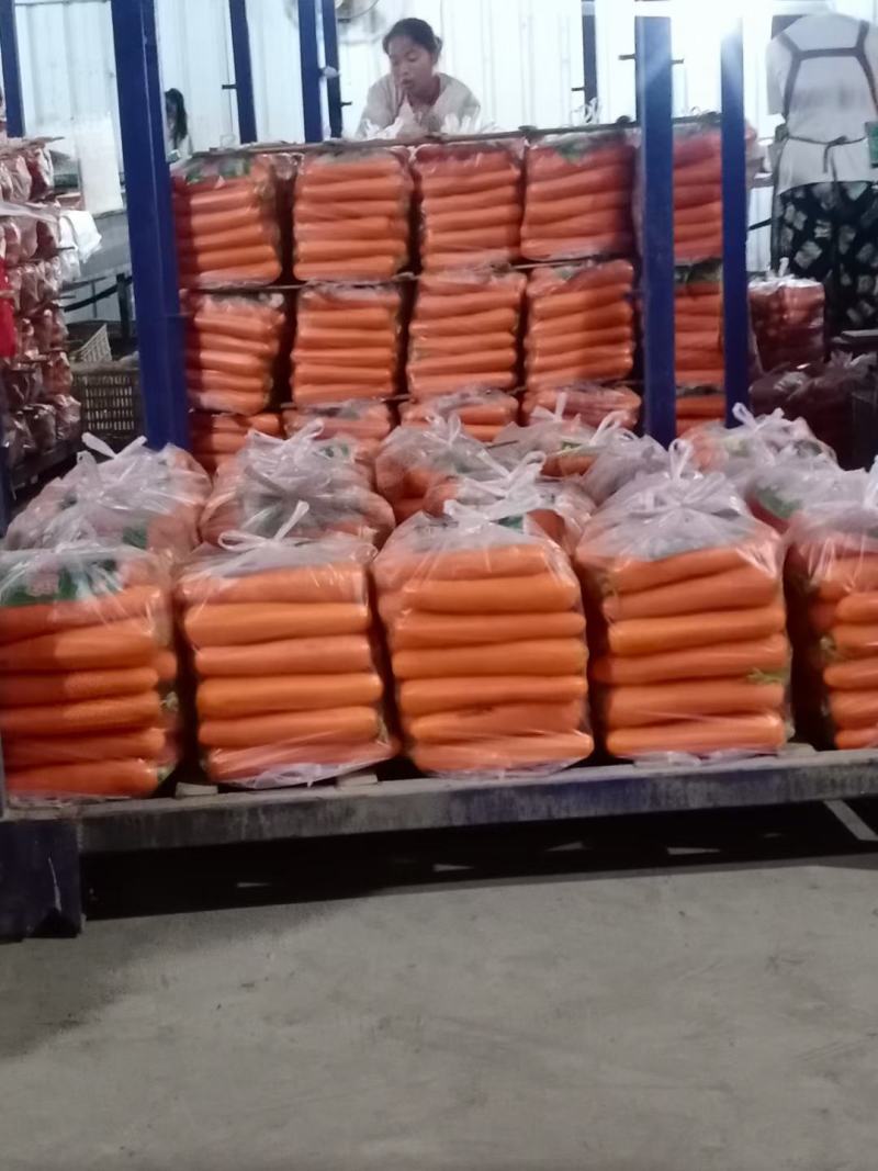 三红胡萝卜精品胡萝卜产地大量供应（3～7两）