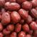原生态红枣长期大量供应规格齐全货源充足口感软甜