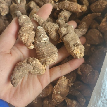 重楼七叶一枝花产地云南一件代发代磨粉中药材批发