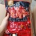 现货日期新鲜冷吃鸡尖【香辣味，椒麻味】一斤一袋足称