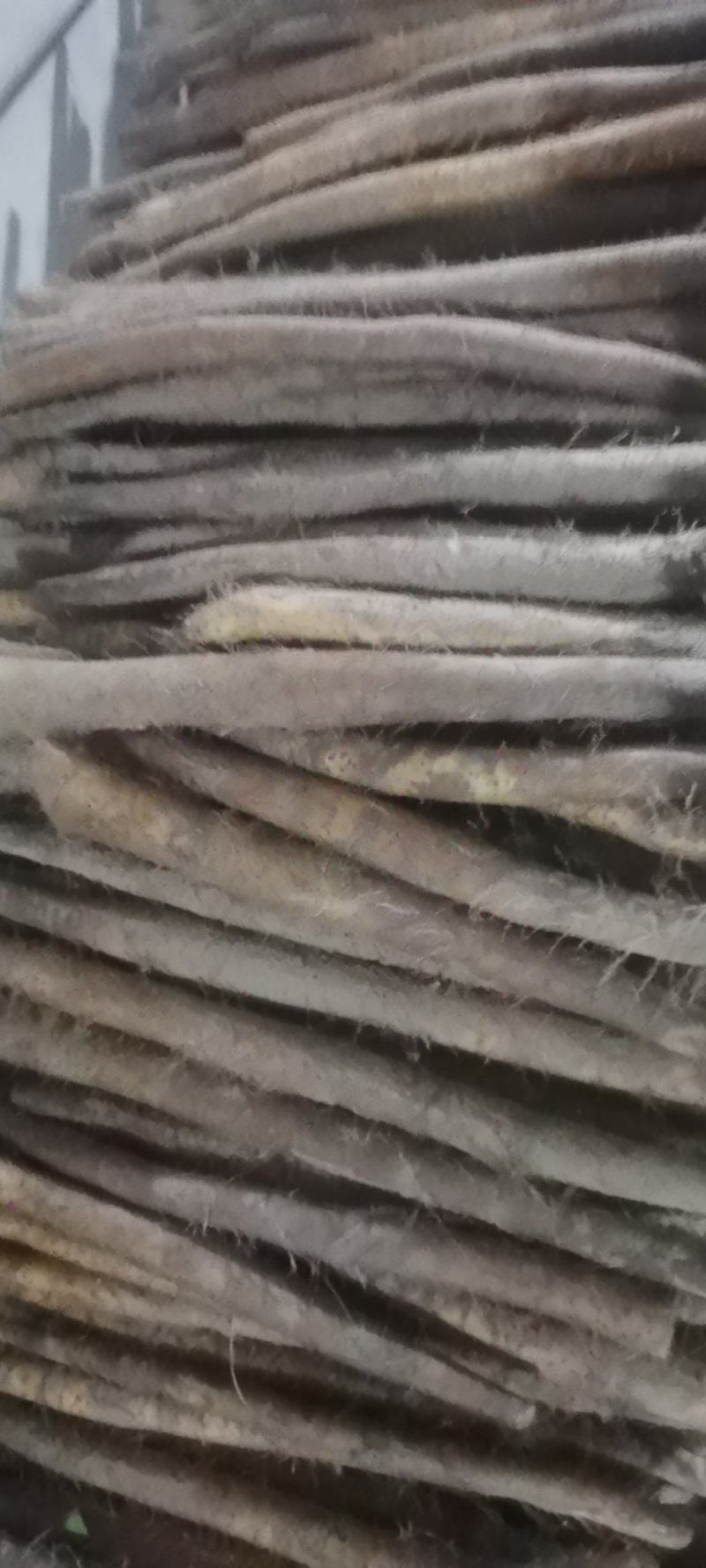 山药特价