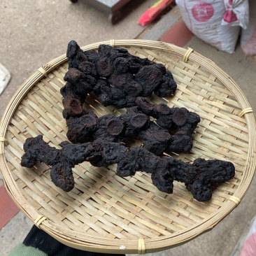 野生九制黄精源自贵州。大中小、鸡头、姜形各规格货源充足。