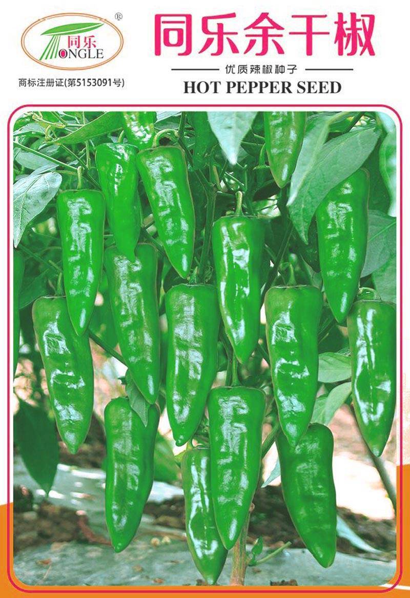 同乐余干椒薄皮香椒高产辣椒种子1000粒袋包邮
