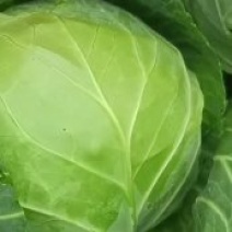 精品甘蓝量大货优，中甘甘蓝，定西高原夏菜，耐运输，耐储存