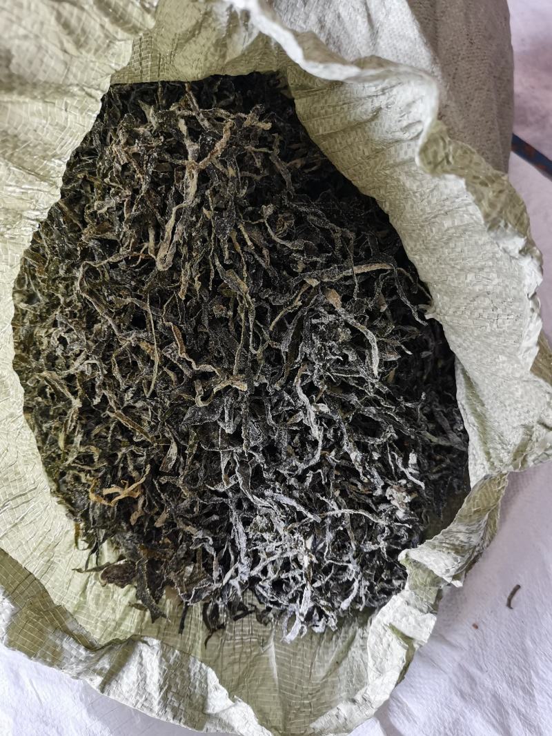 食堂用干海带丝：晒干小绿丝.无沙短丝.胡辣汤用小海带丝