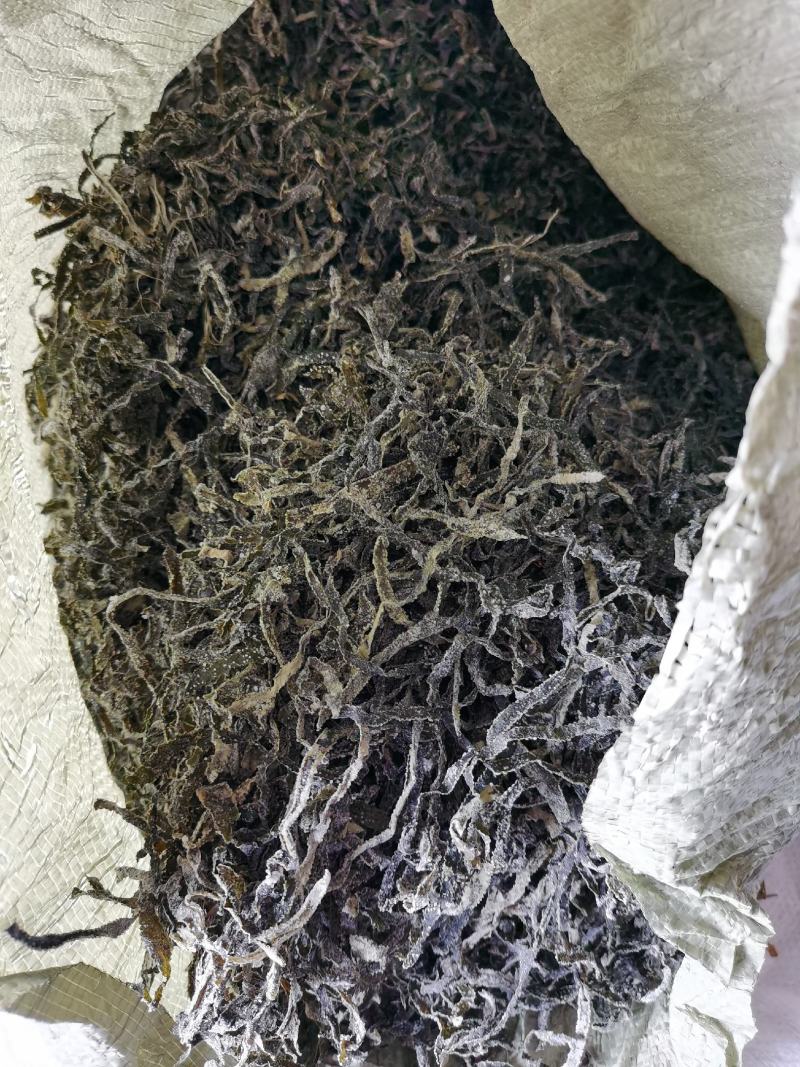 食堂用干海带丝：晒干小绿丝.无沙短丝.胡辣汤用小海带丝