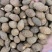 胖大海无硫胖大海易泡水泡茶精选大果好果放心喝好茶