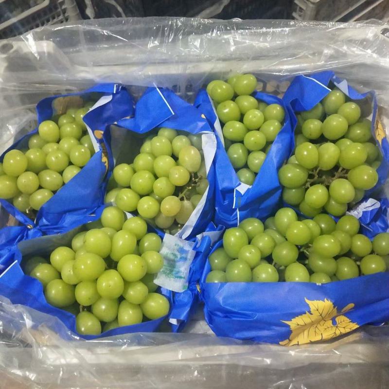 各种规格的阳光玫瑰