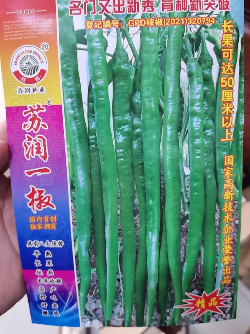 苏润一椒线椒种子抗病高产早熟特长加长绿线椒辣椒蔬菜种子