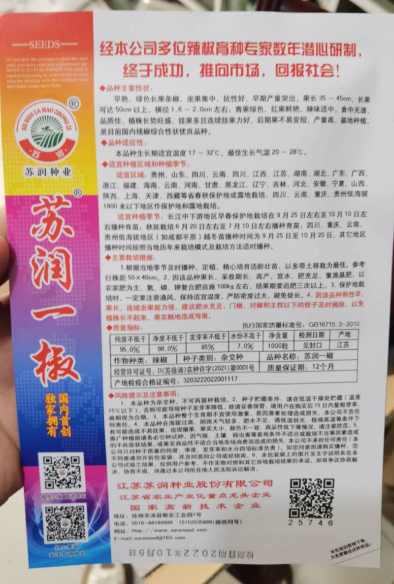 苏润一椒线椒种子抗病高产早熟特长加长绿线椒辣椒蔬菜种子