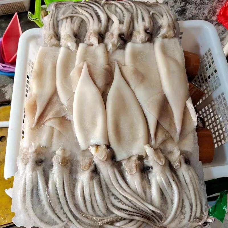 去皮去内脏鱿鱼，一手货源，市场广阔，欢迎老板来撩，，，，