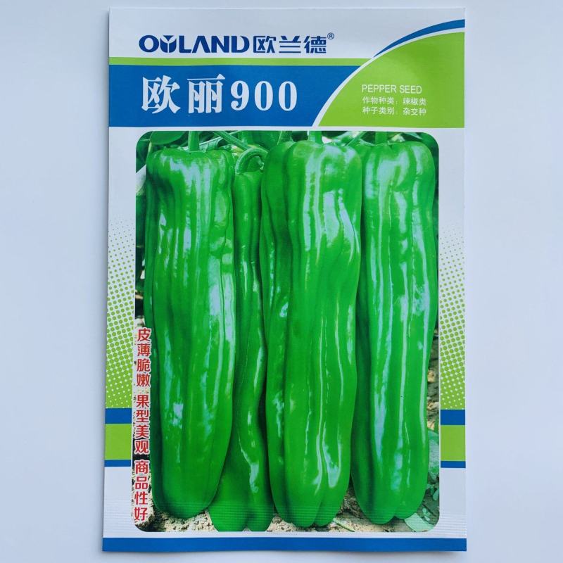 欧丽900薄皮青椒种籽大果高产抗病泡椒种子四季早熟阳台蔬