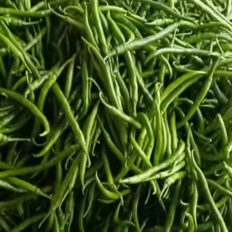 青线椒